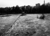 fiume reno.jpg