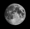 luna-2.jpg