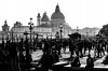Venice backlight.jpg