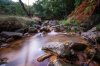 _DSC8480.jpg