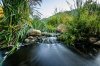 _DSC8475.jpg