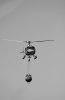 _MG_3259BN.jpg