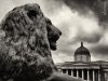 lion & national gallery con firma.jpg