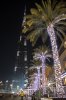 IMG_4782 f.jpg